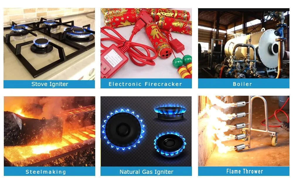 Burner High Voltage Pulse Igniter